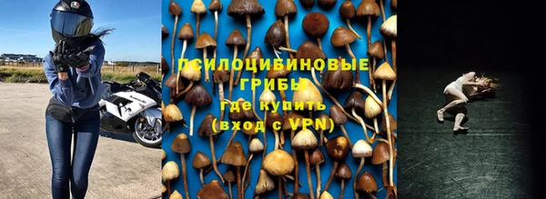 mix Корсаков