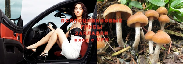 таблы Костерёво