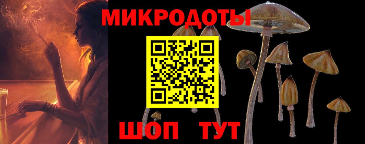 Пенза  Псилоцибиновые грибы GOLDEN TEACHER  Вход с VPN 